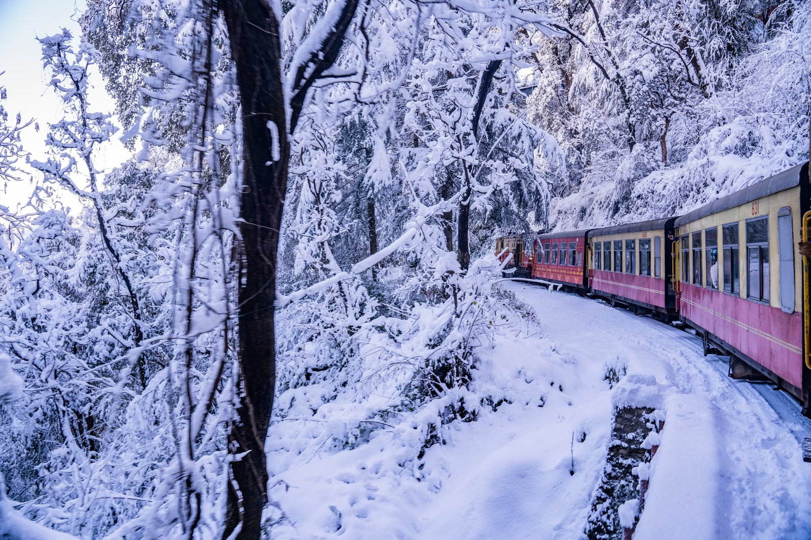 Exclusive Shimla Manali Tour